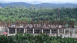 Melihat Progres Pembangunan Masjid Negara IKN
