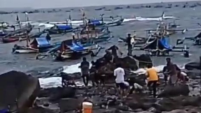 Nelayan Jayanti beramai-ramai ambil ikan yang terdampar dan melompat ke tepi pantai