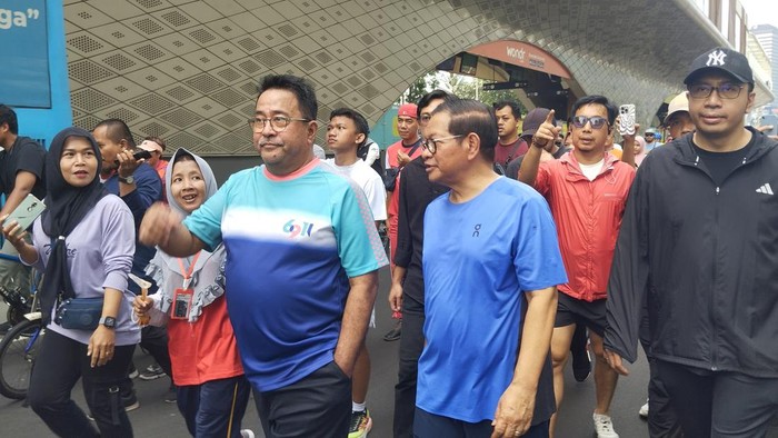Pramono Anung dan Rano Karno (Fawdi/detikcom)