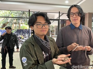 Kisah 2 Mahasiswa Kesenian Belajar Wirausaha Budidaya Ular