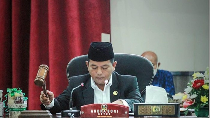 Andra Soni