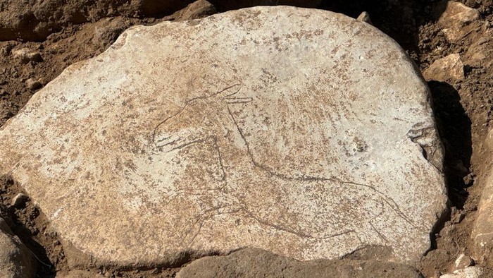 Batu Berukir Keledai Ditemukan di Situs Berusia 12.000 Tahun di Turki SANLIURFA, TURKIYE - AUGUST 29: A view of the figure of a running wild donkey carved on stone from the Neolithic period during excavations at Karahantepe in Sanliurfa, Turkiye on August 29, 2024. During excavations at Karahantepe, a Neolithic-era stone carving of a running wild donkey was unearthed. The 2024 excavations at Karahantepe are ongoing, revealing more than 250 Neolithic 'T'-shaped obelisks. (Photo by Muslum Etgu/Anadolu via Getty Images)