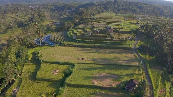 Desa Angseri Bali