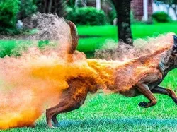 Rawan Terkecoh, Lihat Gambar Ini Tak Boleh Sekilas