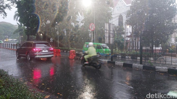 Guncangan Alam di Bogor: Hujan Deras dan Angin Kencang Timbulkan Pohon Runtuh di Berbagai Wilayah
