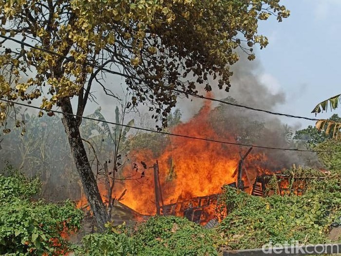 Tragedi Mengerikan: Kebakaran Hanguskan 3 Kandang Ternak di Jakbar, 37 Kambing Jadi Korban