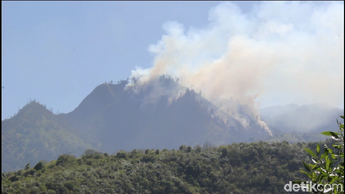 Kobaran Api Melalap Hutan Lindung di Lereng Gunung Bromo