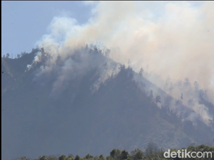 10 Hektare Hutan di Bromo Tengger Semeru Lumajang Terbakar Hebat