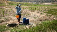 Saat musim kemarau warga setempat terpaksa mengambil air dari sumur tua sisa pemukiman desa lama di dasar waduk yang mengering.