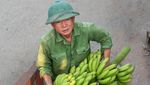 Keren! Potret 10 Foto Makanan Terbaik di Dunia Tahun 2024