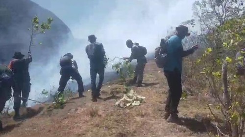 Petugas berjibaku memadamkan api di Bukit Anak Dara, Desa Sembalun Lawang, Kecamatan Sembalun, Lombok Timur, NTB, Senin (2/9/2024). (Foto: Humas Polsek Sembalun)