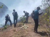 286 Ha Bukit Anak Dara Hangus Terbakar, BKPH Rinjani Timur Pastikan Api Padam