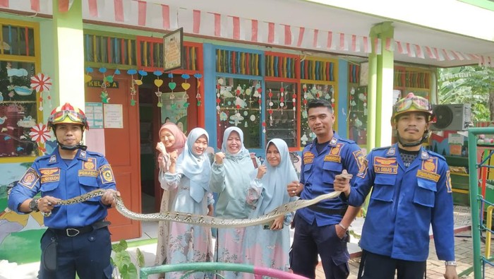 Penemuan Ular Raksasa Menggemparkan Bangunan TK di Cibinong Bogor