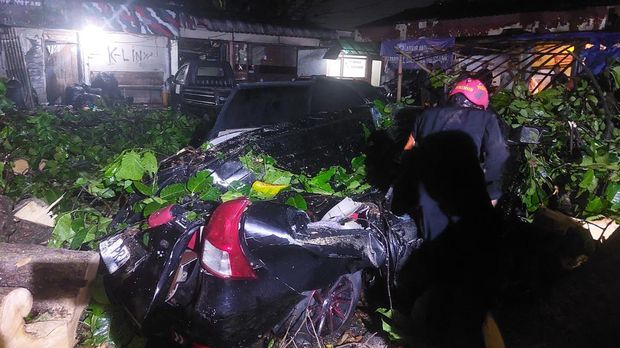 Proses evakuasi pohon tumbang timpa mobil pribadi dan angkot di Baranangsiang, Kota Bogor.