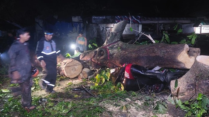 Tim Tanggap Darurat BPBD dan Brimob Berkolaborasi Bersihkan Pohon Tumbang yang Menimpa Mobil di Baranangsiang