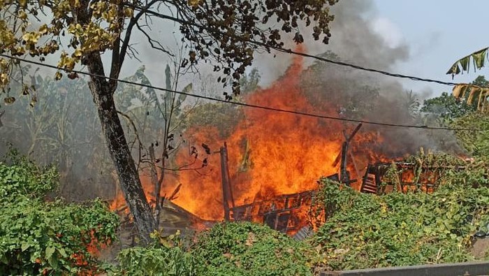 Dugaan Asap Bakaran Sampah di Jakbar Jadi Petaka bagi 37 Kambing