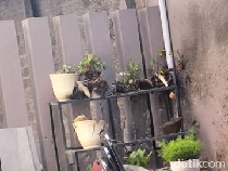 Kondisi Rumah Cagub Aceh Bustami Hamzah Usai Dilempar Granat