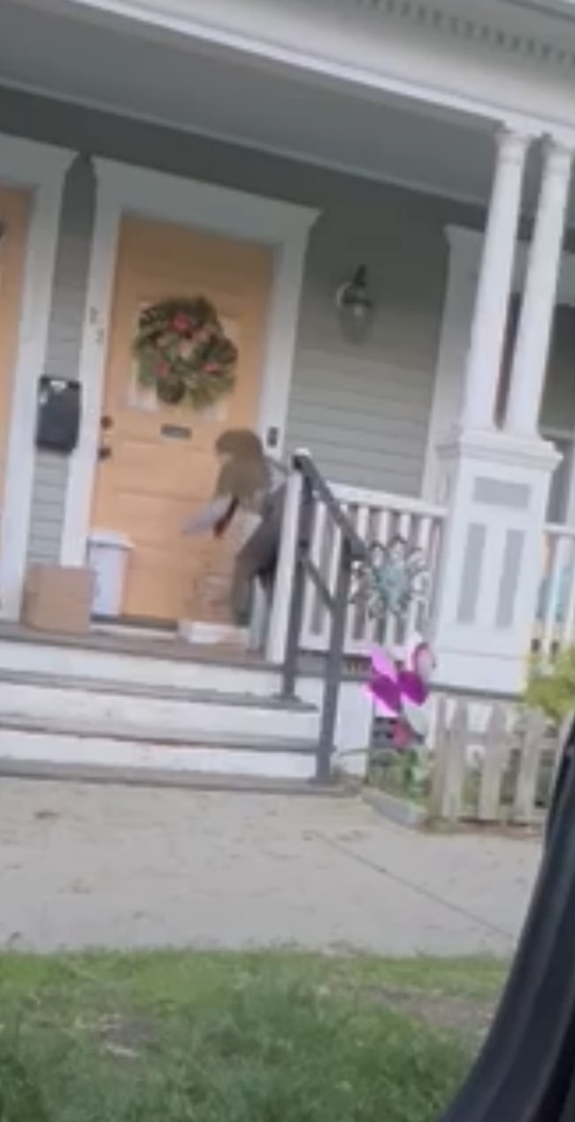 Terry mengungkapkan jika salah satu kesulitan dari pekerjaannya itu ialah jika harus mengantarkan banyak paket secara sekaligus. Selain itu juga karena rumah-rumah di sana kebanyakan tidak memiliki pager, sehingga khawatir paketnya bisa hilang. Foto: Instagram/@terryputri