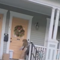 Terry mengungkapkan jika salah satu kesulitan dari pekerjaannya itu ialah jika harus mengantarkan banyak paket secara sekaligus. Selain itu juga karena rumah-rumah di sana kebanyakan tidak memiliki pager, sehingga khawatir paketnya bisa hilang. Foto: Instagram/@terryputri