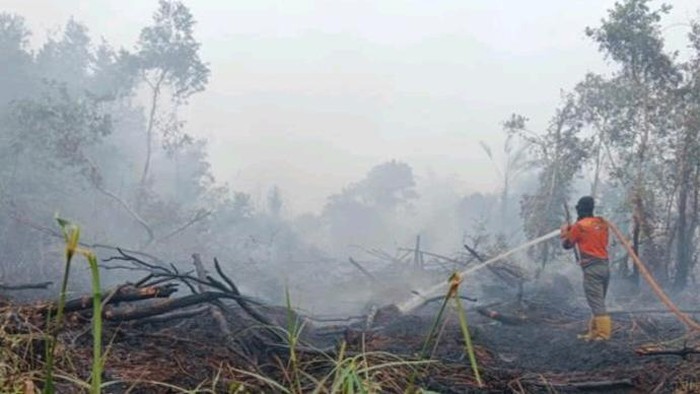 Upaya pemadaman dilakukan personel melalui jalur darat