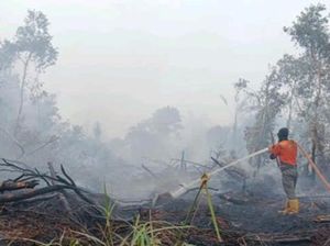 Karhutla di Muara Enim Sudah Lima Hari, Luas Terbakar 25 Hektare