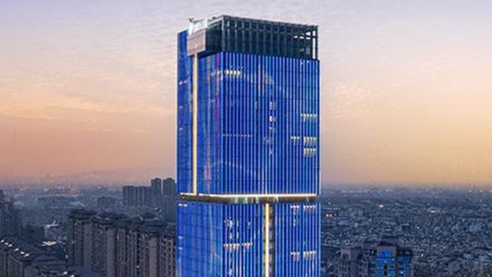 Delonix Group