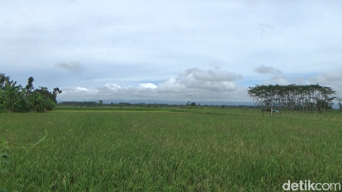Gunung Semeru