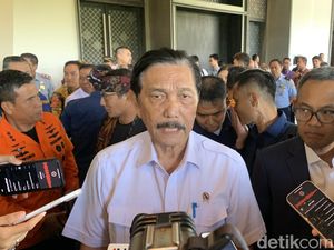 Luhut Ingatkan Tidak Ada Lagi Lahan Sawah Dijadikan Vila di Bali