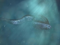 Oarfish Muncul, Begini Pandangan Al-Quran tentang Fenomena Hewan Laut