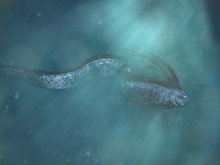 Oarfish Muncul, Begini Pandangan Al-Quran tentang Fenomena Hewan Laut