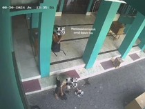 Miris! 3 Pelajar Kota Malang Curi Kotak Amal Masjid Demi Buat Jajan