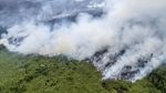 Penampakan dari Udara Kebakaran Hutan dan Lahan di Muaro Jambi
