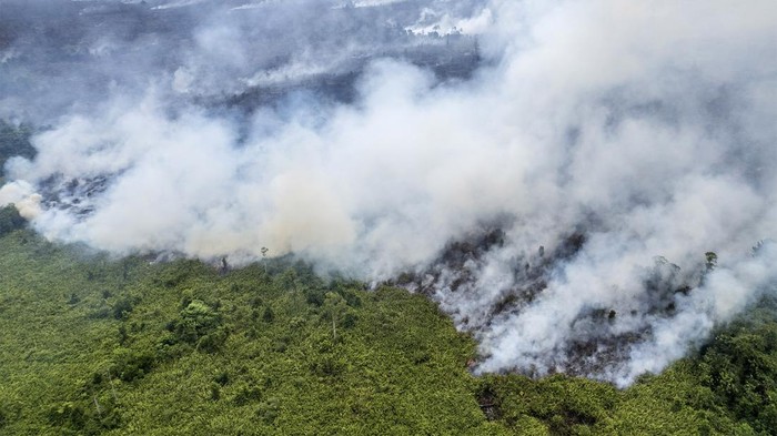 Helikopter milik BNPB terbang menembus asap saat mengupayakan pemadaman kebakaran lahan di Desa Rantau Panjang, Muaro Jambi, Jambi, Senin (2/9/2024). Kebakaran yang terjadi sejak Jumat (23/8/2024) dan telah menjalar ke tiga desa meliputi Rantau Panjang, Rondang, dan Londrang dengan menghanguskan 1.000 hektare lebih lahan tersebut telah memasuki hari kesepuluh, sementara upaya pemadaman dari udara dan darat oleh Manggala Agni, BPBD Muaro Jambi, TNI, dan Masyarakat Peduli Api masih terus dilakukan. ANTARA FOTO/Wahdi Septiawan/foc.