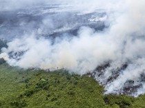 BPBD Sumsel Catat 12 Daerah Rawan Karhutla, Didominasi Lahan Gambut