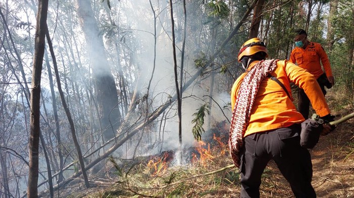 Petugas memadamkan api yang membakar hutan di kawasan TNBBTS
