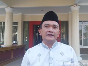 Mangga Gedong Gincu Majalengka Bakal Diekspor ke Jepang