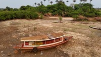 Badan Geologi Brasil (SGB) telah memperingatkan bahwa permukaan air telah turun sejak Juni dan semua sungai di lembah Amazon diperkirakan akan turun di bawah permukaan air historisnya.
