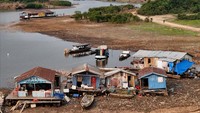 Hujan diperkirakan akan turun lebih banyak pada paruh kedua tahun ini berkat fenomena La Nina yang mendinginkan perairan Pasifik di dekat Khatulistiwa, yang akan membawa lebih banyak kelembapan di Brasil utara dan cuaca kering di selatan. Namun, tahun ini, perairan Pasifik tidak mendingin seperti yang diperkirakan, yang dikombinasikan dengan kurangnya hujan pada tahun 2023, telah menyebabkan situasi bencana di Amazon, kata Marengo, koordinator Penelitian dan Pengembangan di Pusat Nasional Pemantauan dan Peringatan Bencana Alam (Cemaden).