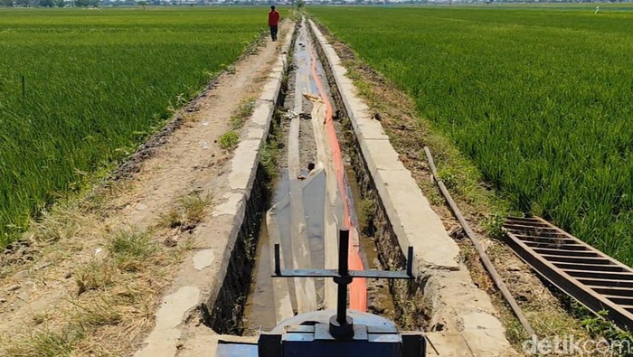 Potret saluran pembuang Bojong di Kecamatan Kandanghaur yang kering