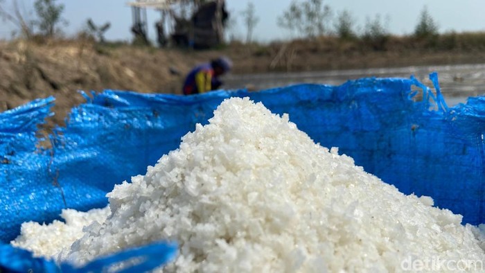Suasana petambak garam di Desa Rwaurip, Kecamatan Pangenan, Kabupaten Cirebon