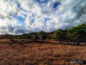 Sumba Itu Surga Kecil yang Dititipkan di Bumi, Ini Alasannya