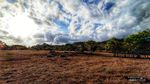 Sumba, Sebuah Surga di Timur Indonesia