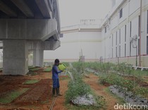Ide Agrobisnis Rumahan yang Menguntungkan dan Mudah Dijalankan