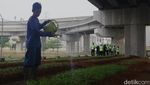 Urban Farming Bikin Adem Kawasan Depo LRT Jakarta