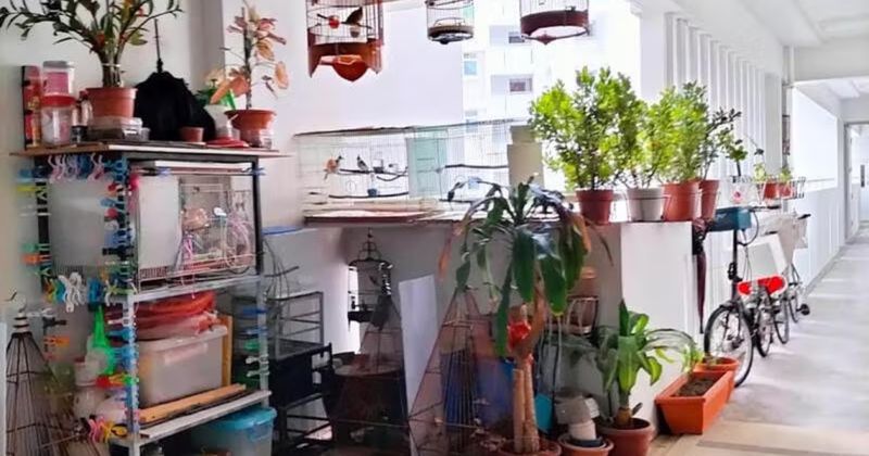 Apartemen jadi gudang/Kredit foto: Lianhe Zaobao via Asiaone