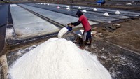 Tampak tumpukan garam yang telah jadi dan siap didistribusikan.    