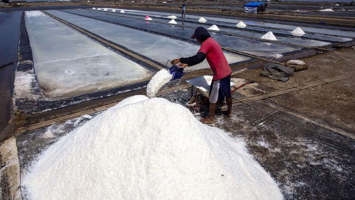 Petani memanen garam di kawasan tambak garam desa Tanjakan, Krangkeng, Indramayu, Jawa Barat, Rabu (4/9/2024). Kementerian Pertanian dan Perikanan (KKP) menargetkan Indonesia swasembada garam pada tahun 2025 yang sebelumnya ditargetkan pada tahun 2024 sesuai dengan Peraturan Presiden (Perpres) Nomor 126 Tahun 2022, tentang Percepatan Pembangunan Pergaraman Nasional. ANTARA FOTO/Dedhez Anggara/rwa.