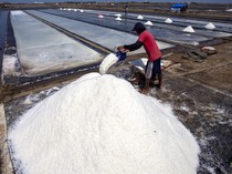 Bangun Sentra Garam Industri di Rote, KKP Siapkan Anggaran Rp 750 M