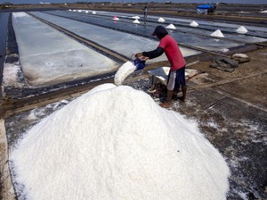 Kejar Swasembada Garam, KKP Bidik Produksi 2 Juta Ton di NTT