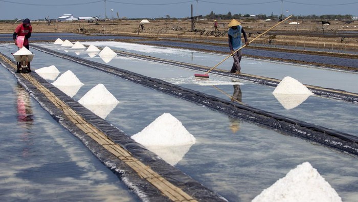 Petani memanen garam di kawasan tambak garam desa Tanjakan, Krangkeng, Indramayu, Jawa Barat, Rabu (4/9/2024). Kementerian Pertanian dan Perikanan (KKP) menargetkan Indonesia swasembada garam pada tahun 2025 yang sebelumnya ditargetkan pada tahun 2024 sesuai dengan Peraturan Presiden (Perpres) Nomor 126 Tahun 2022, tentang Percepatan Pembangunan Pergaraman Nasional. ANTARA FOTO/Dedhez Anggara/rwa.